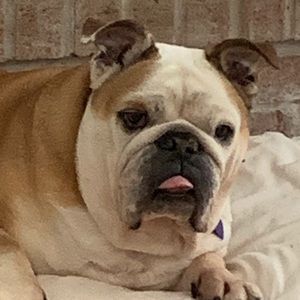 Meet your Posher, Jason